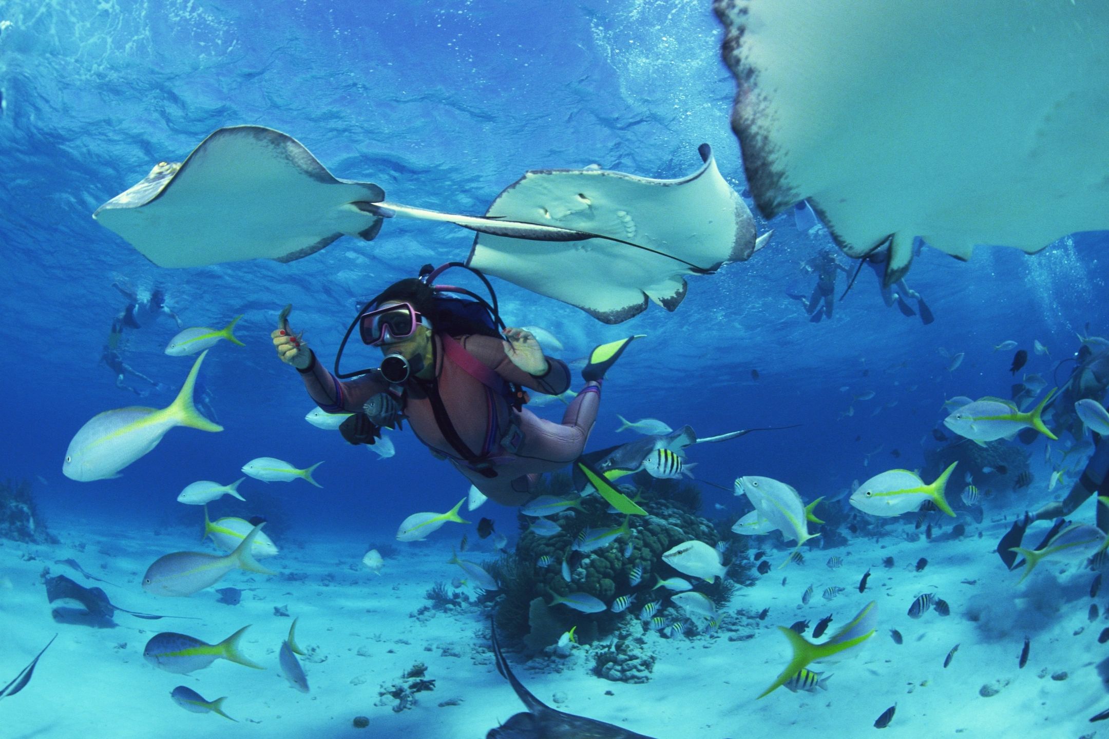 Scuba Diving Kauai: Our Experience with Seaport Divers